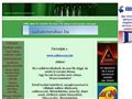 http://www.radiatorcsere.hu ismertető oldala